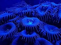 Review Image by Tiffany Hoffman Tiffany Hoffman