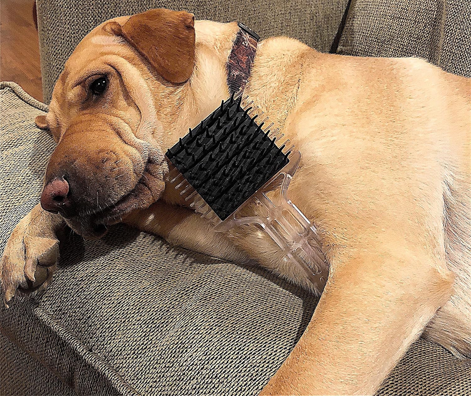 puppy brush and comb