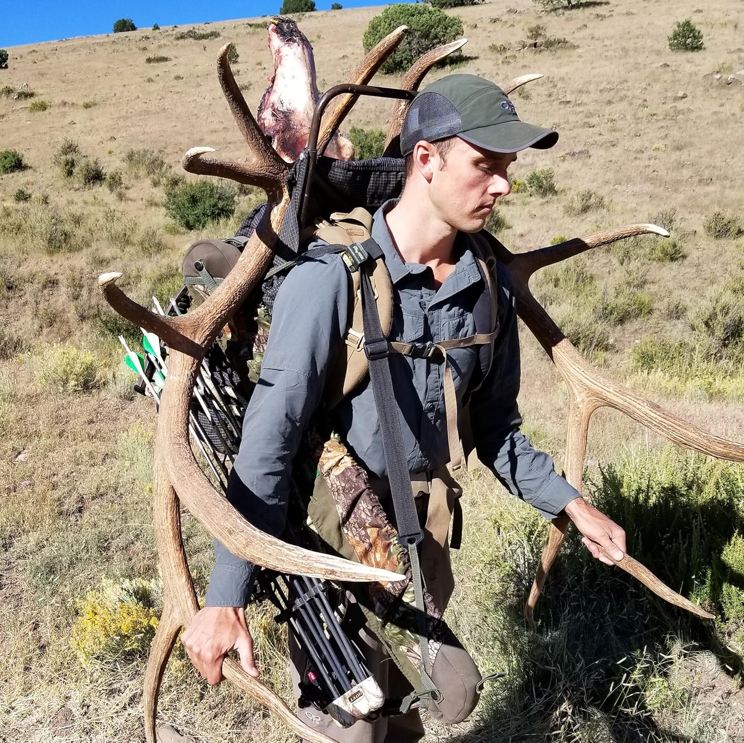 Talarik SlingHook : Sports & Outdoors