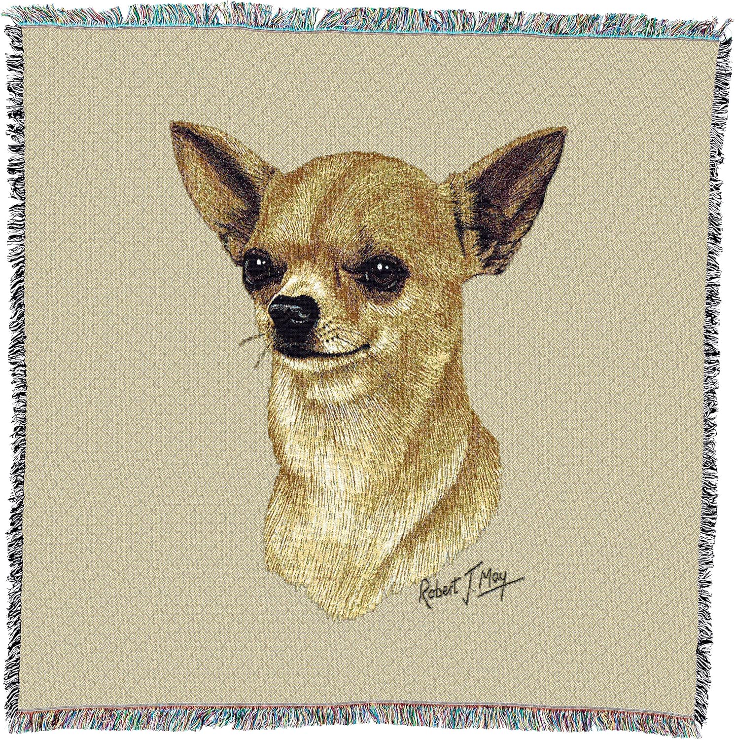 chihuahua in a blanket