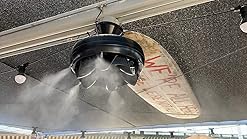 mistamerica minicool