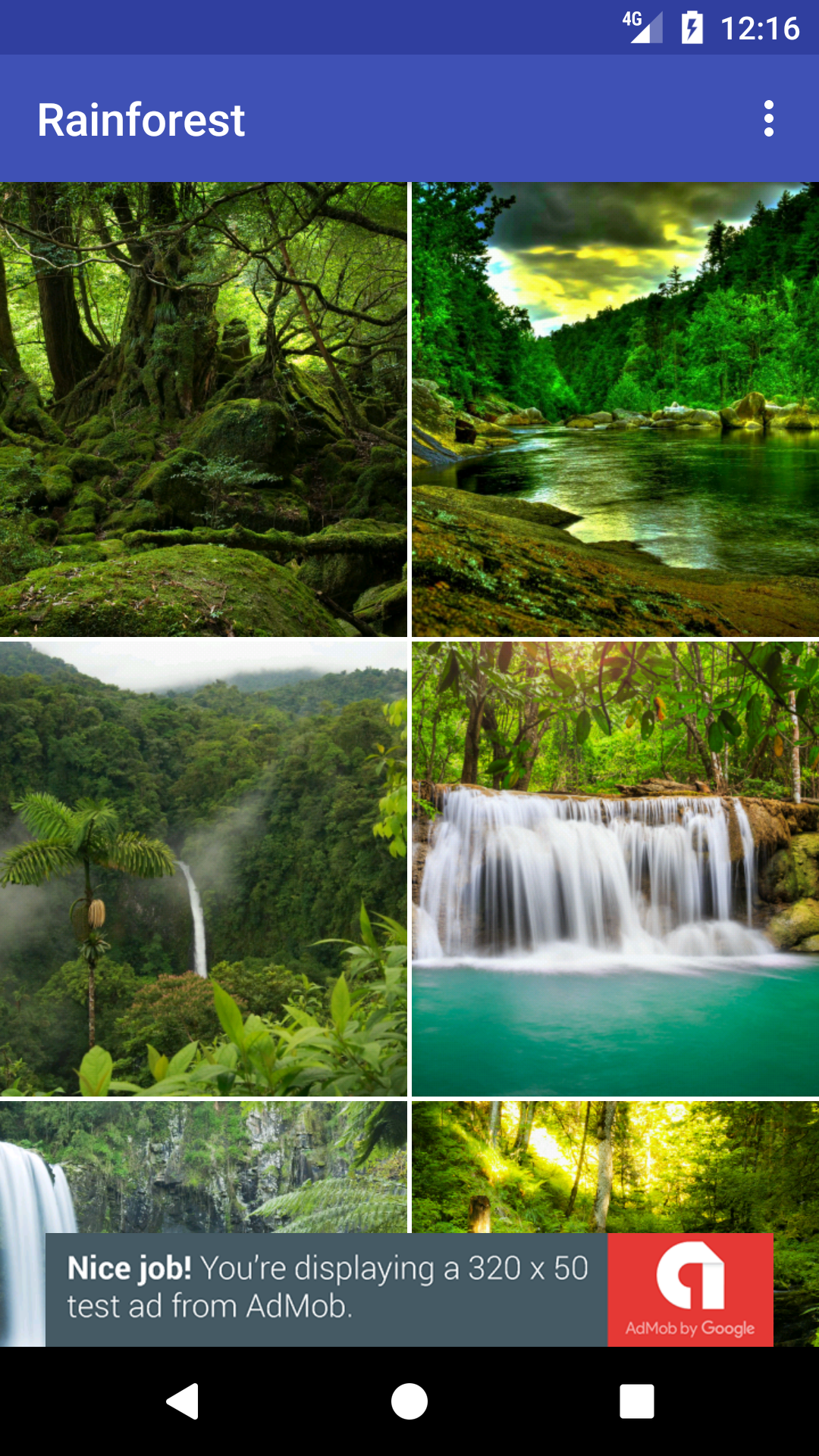 Amazon Com Rainforest Wallpaper Hd Free Appstore For Android