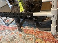 Review Image by Lauren Aghjayan Lauren Aghjayan