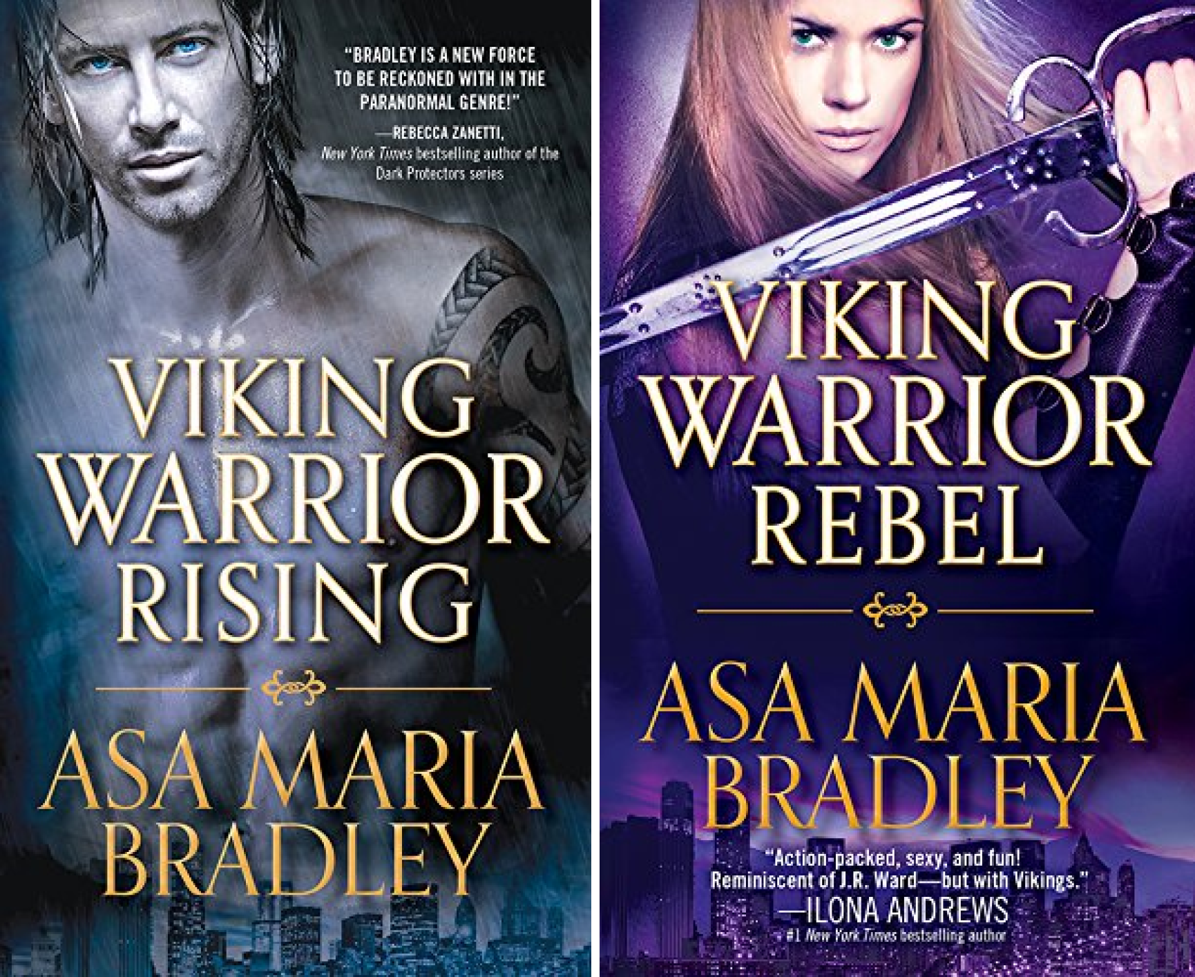Viking Warriors (2 Book Series)