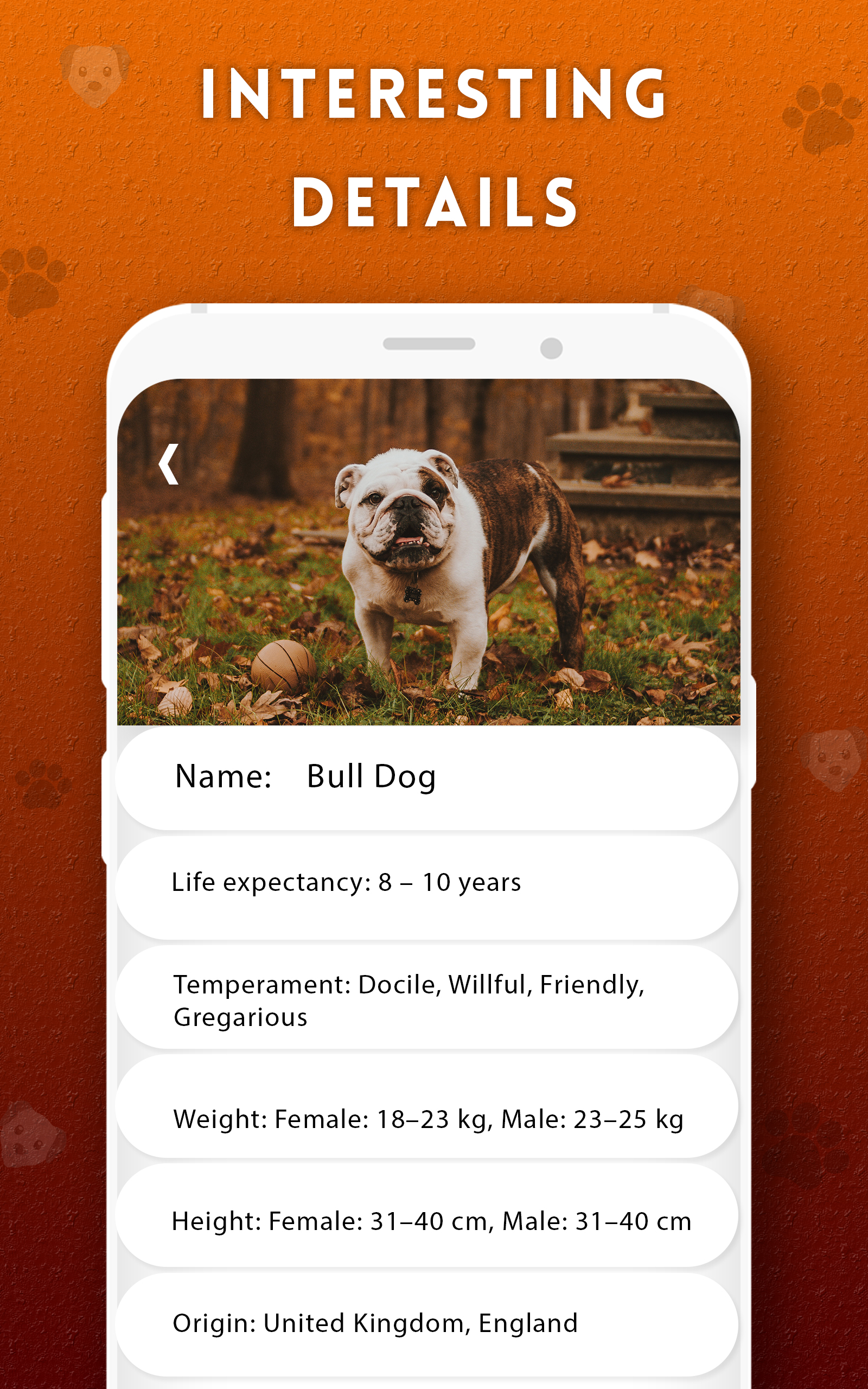 dog breed id app
