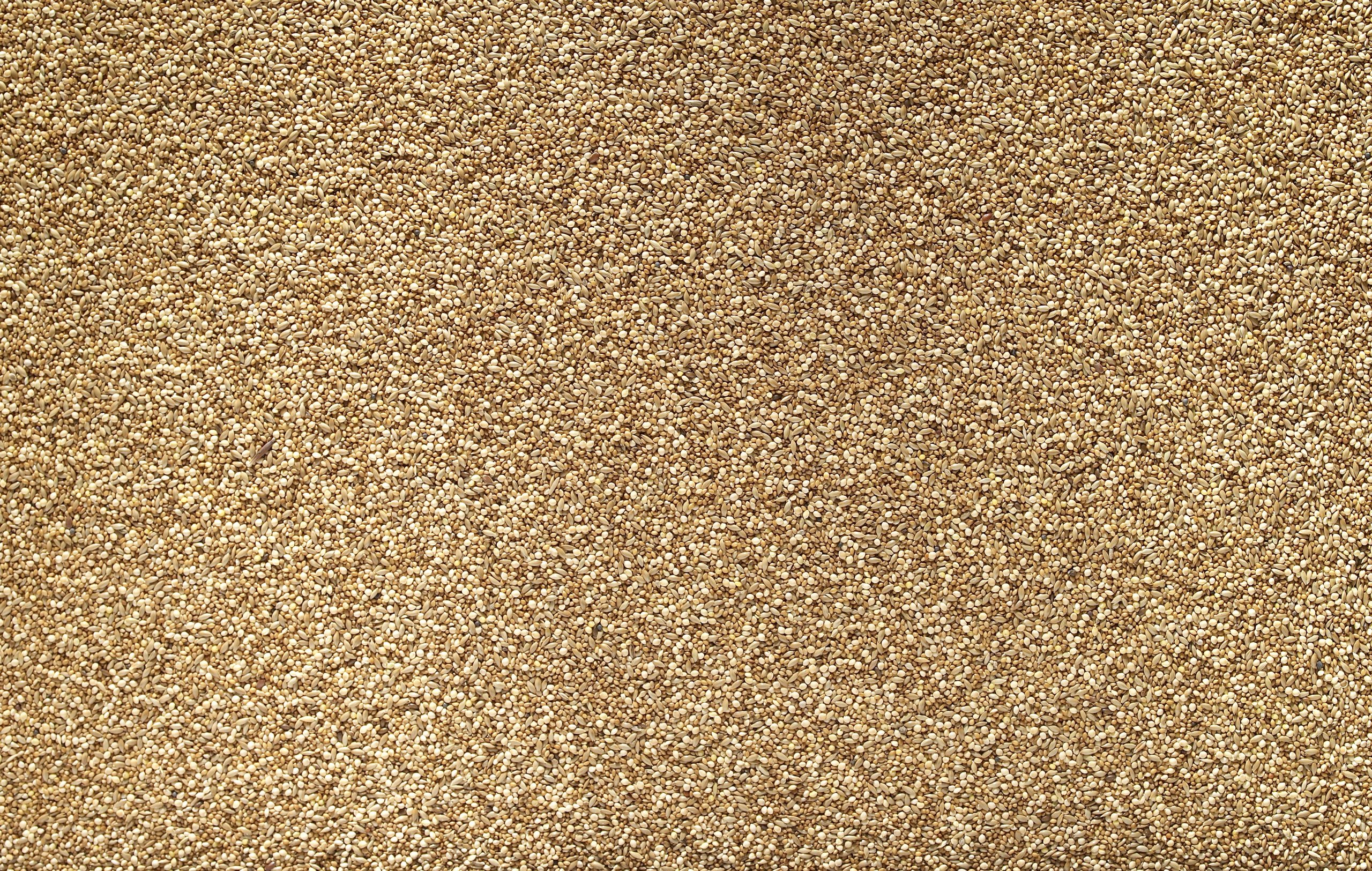 Johnston & Jeff foreign Finch Seed, 20 kg