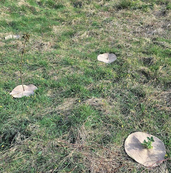 Alfombras de mantillo / polainas para árboles 35cm paquete de 10 ...