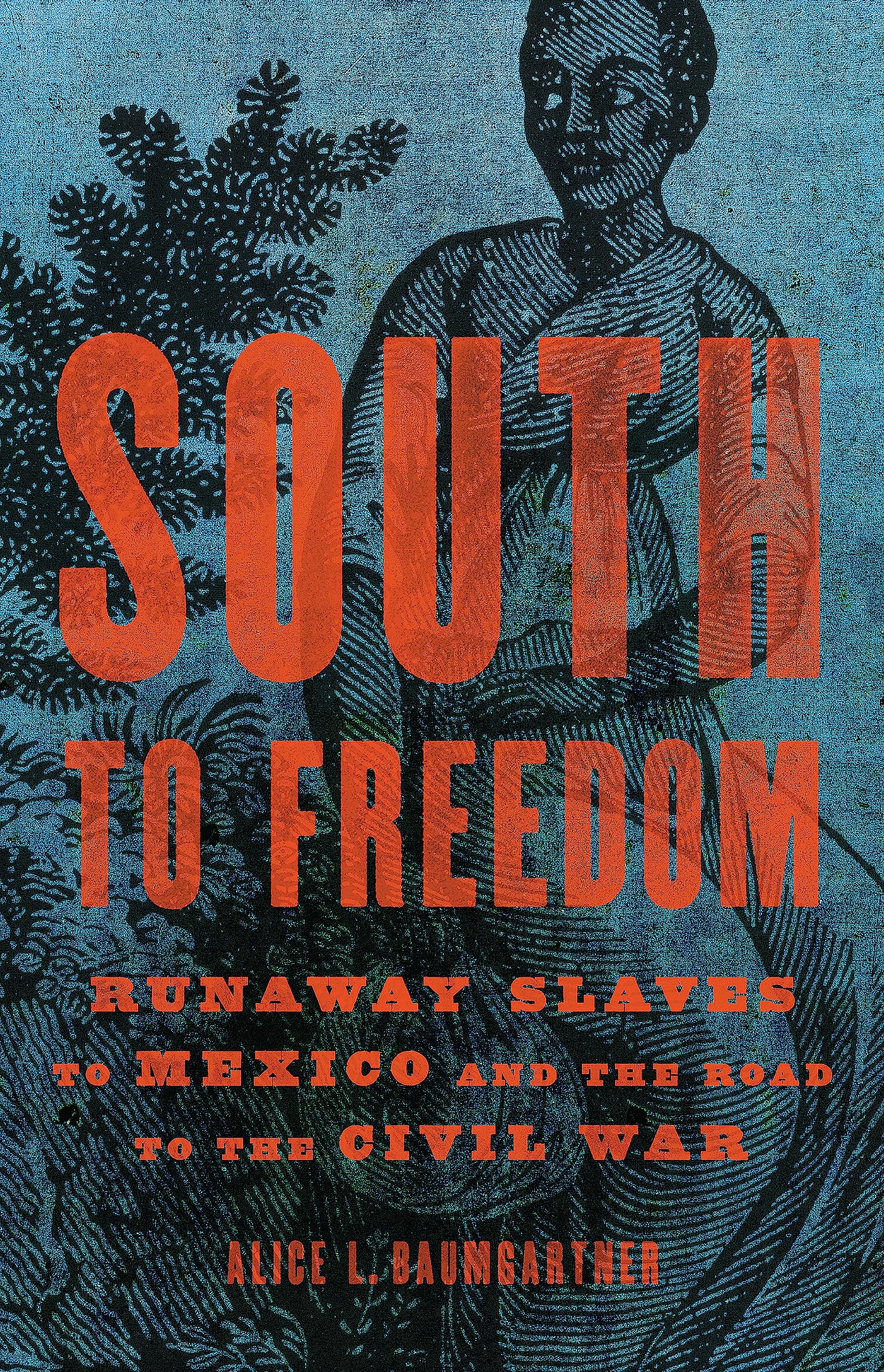 South To Freedom