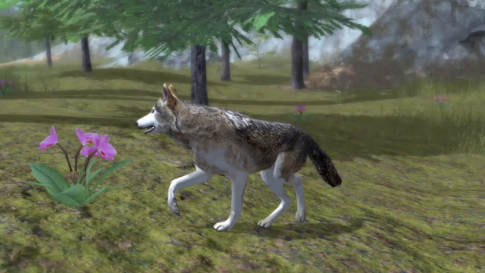 Ultimate Wolf Simulator 2 - App on Amazon Appstore