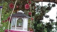 Woodlink Audubon Hopper Deluxe Pavillon – Vogelfutterstation Zum Aufhängen Oder Aufstellen (für Bis Zu 10kg Futter)