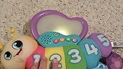 butterfly counting pal