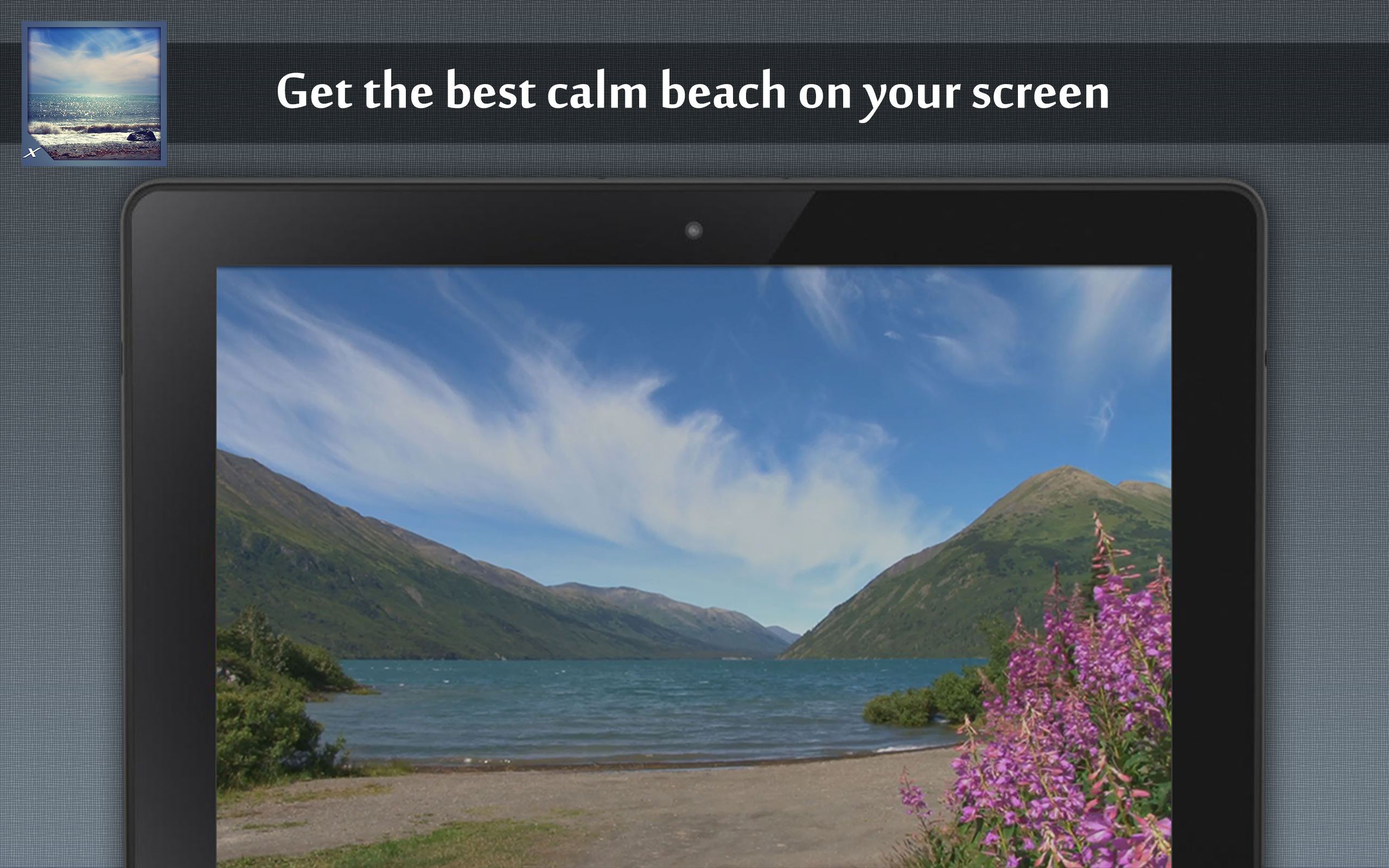Calm Beach - Beautiful Beach Collection - Thumbnail 5