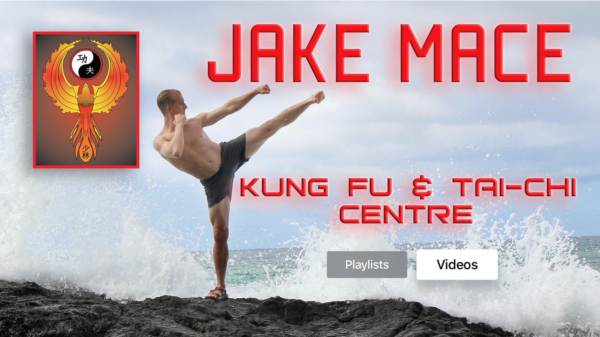 Jake Mace Kung Fu & Tai-Chi - Thumbnail 2