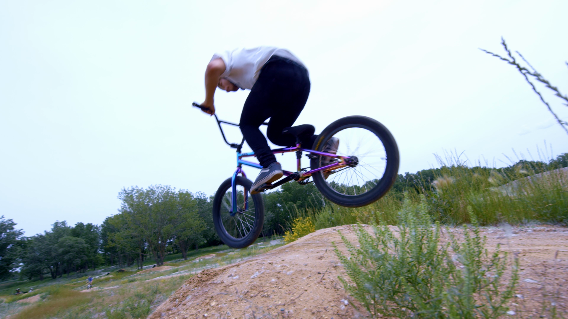 Framed Defendant Pro BMX Bike Matte 