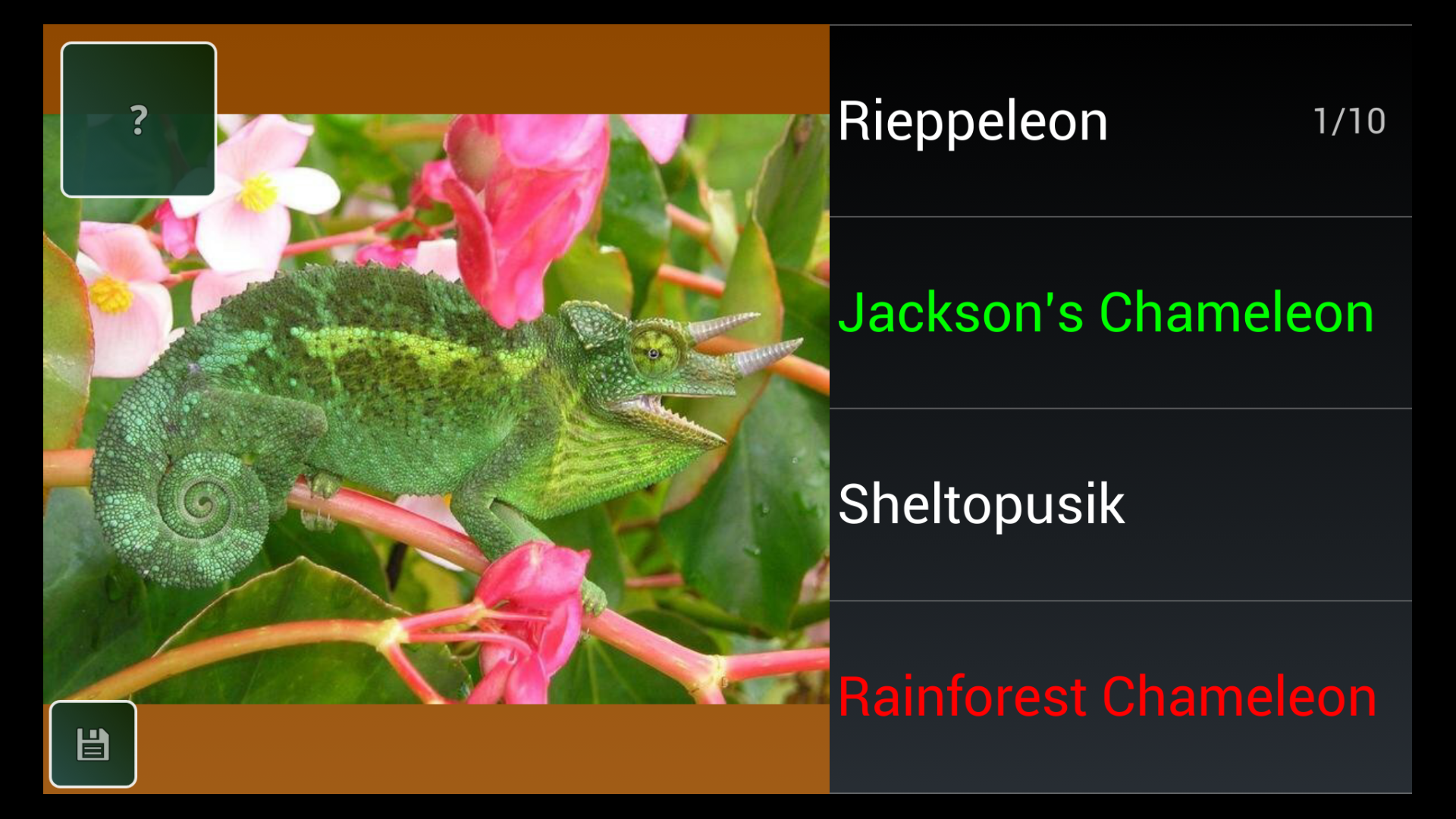 Reptile Species Trivia QuizAmazon.inAppstore for Android