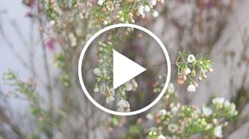 A video posted by the author.