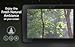 Natural Meditating Ambience - Enjoy the Calm Ambience on Your Screen