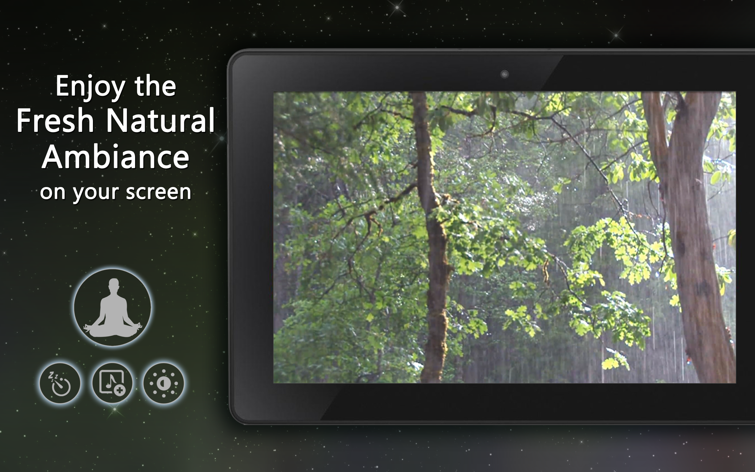 Natural Meditating Ambience - Enjoy the Calm Ambience on Your Screen