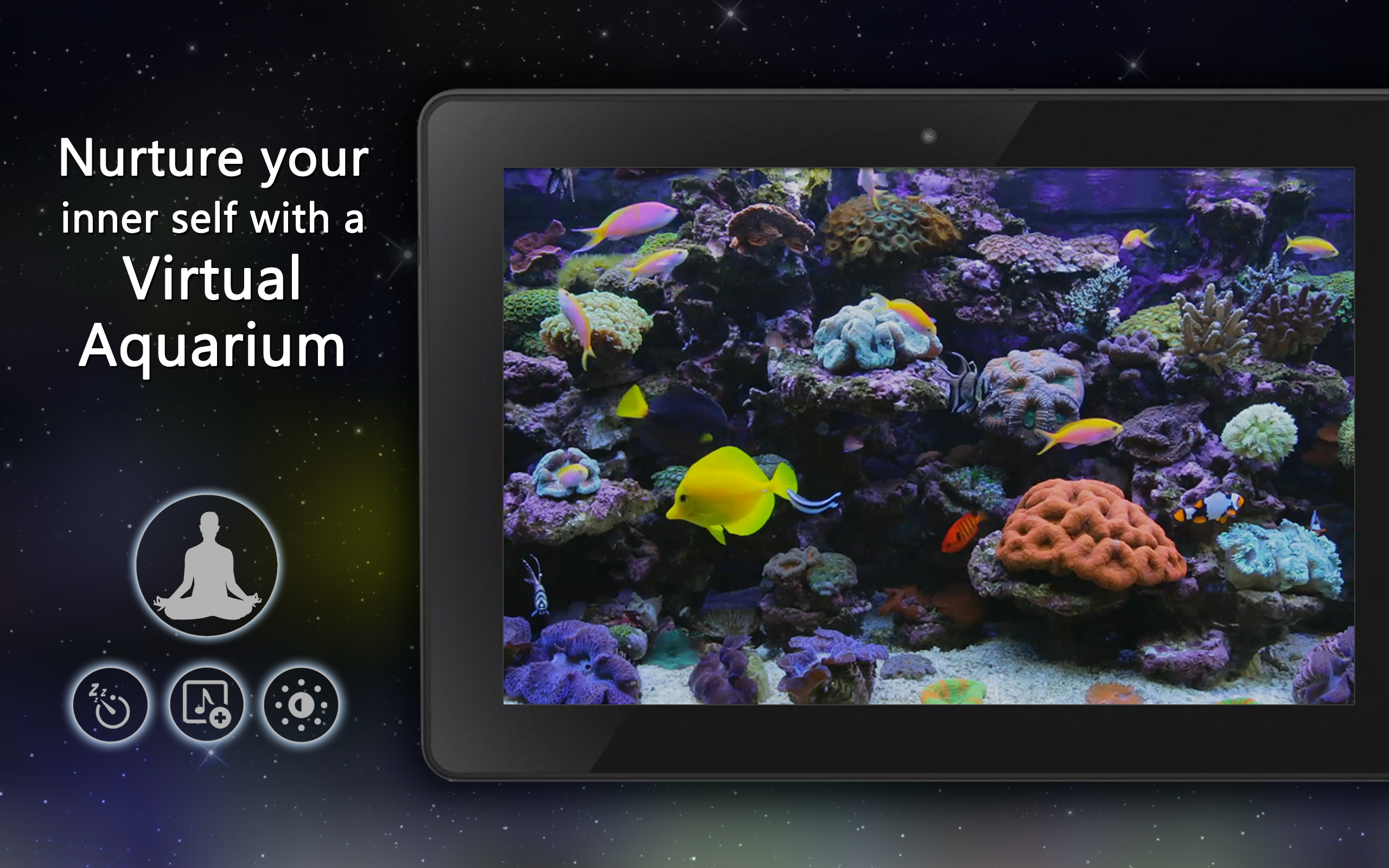 Coral Fish Aquarium TV