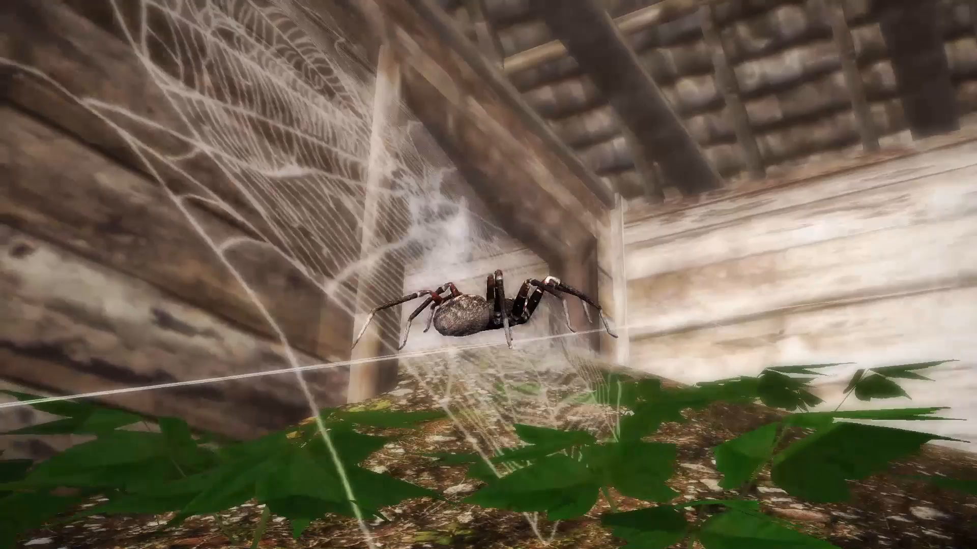Ultimate Spider Simulator 2 - App on Amazon Appstore