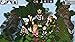 WorldCraft : 3D Build & Craft
