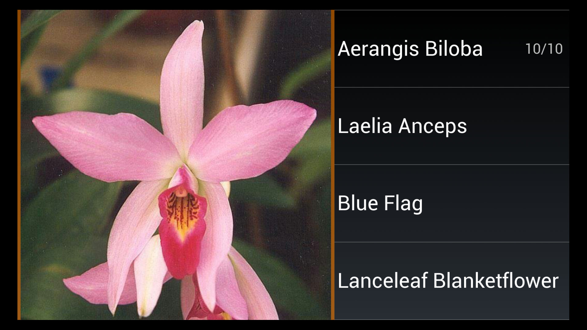 Flower Species Trivia for Android