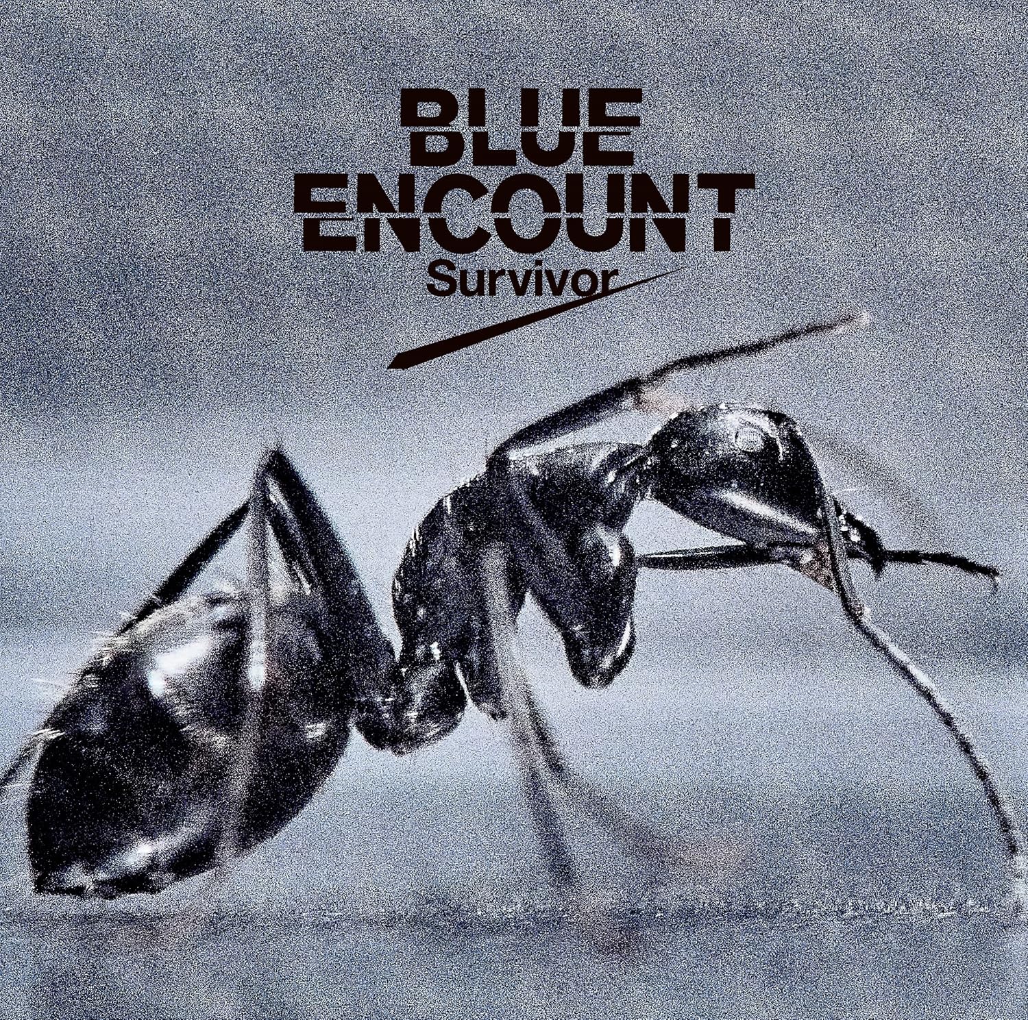 Amazon Survivor Blue Encount J Pop 音楽