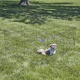 MidWest Homes for Pets 24-Inch Exercise Pen Black, 16 sq ft, 24W x 24H view 2