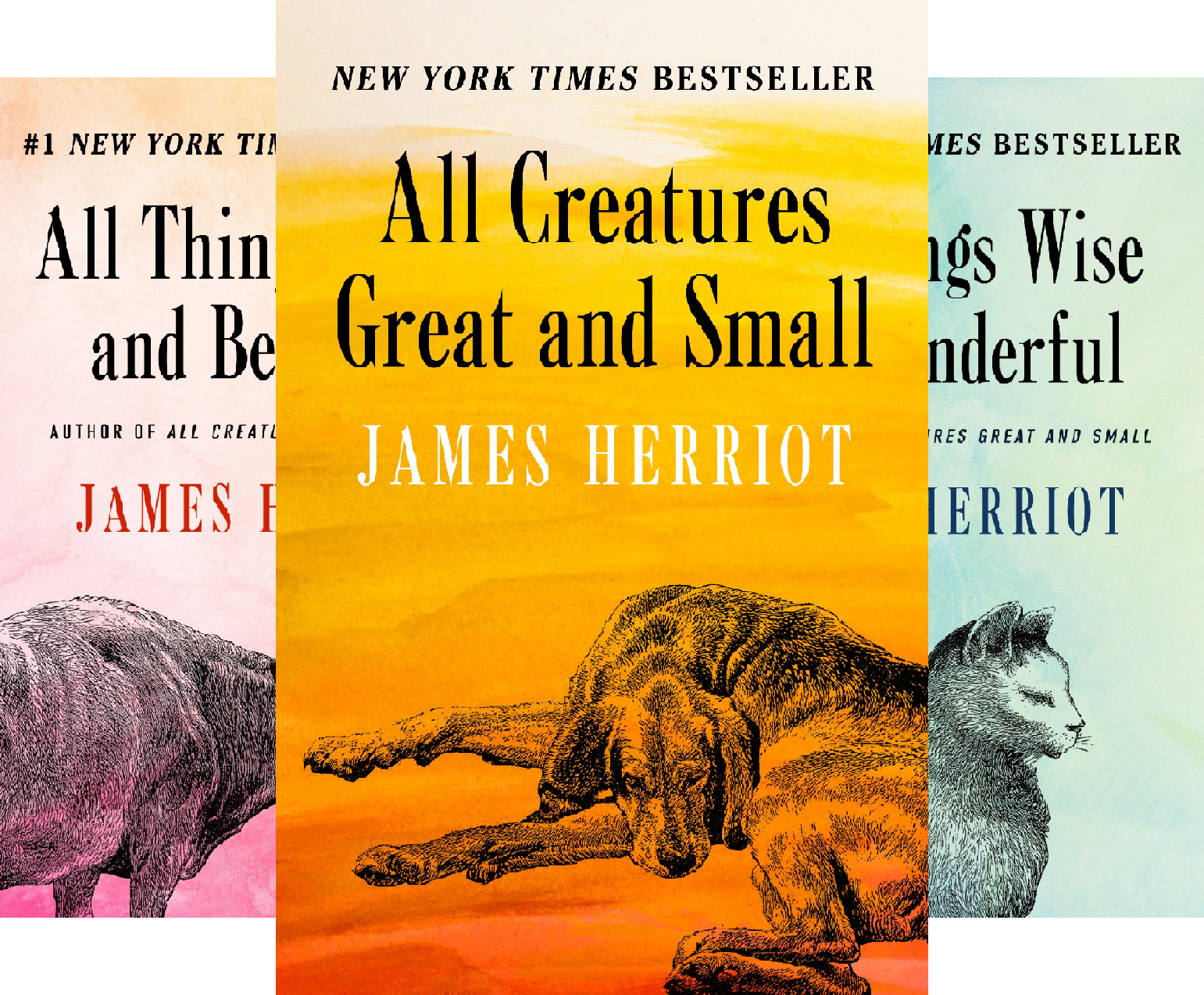 All Creatures Great and Small 2nd edition by Herriot, James (2014