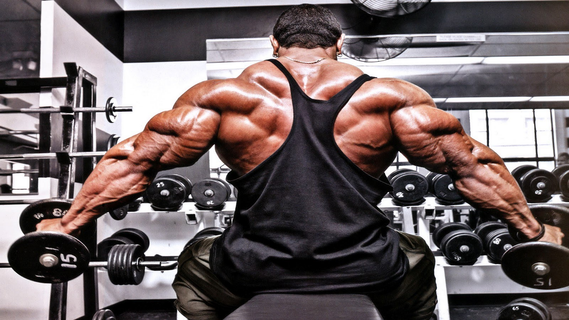 The Gym Coach - Thumbnail 7