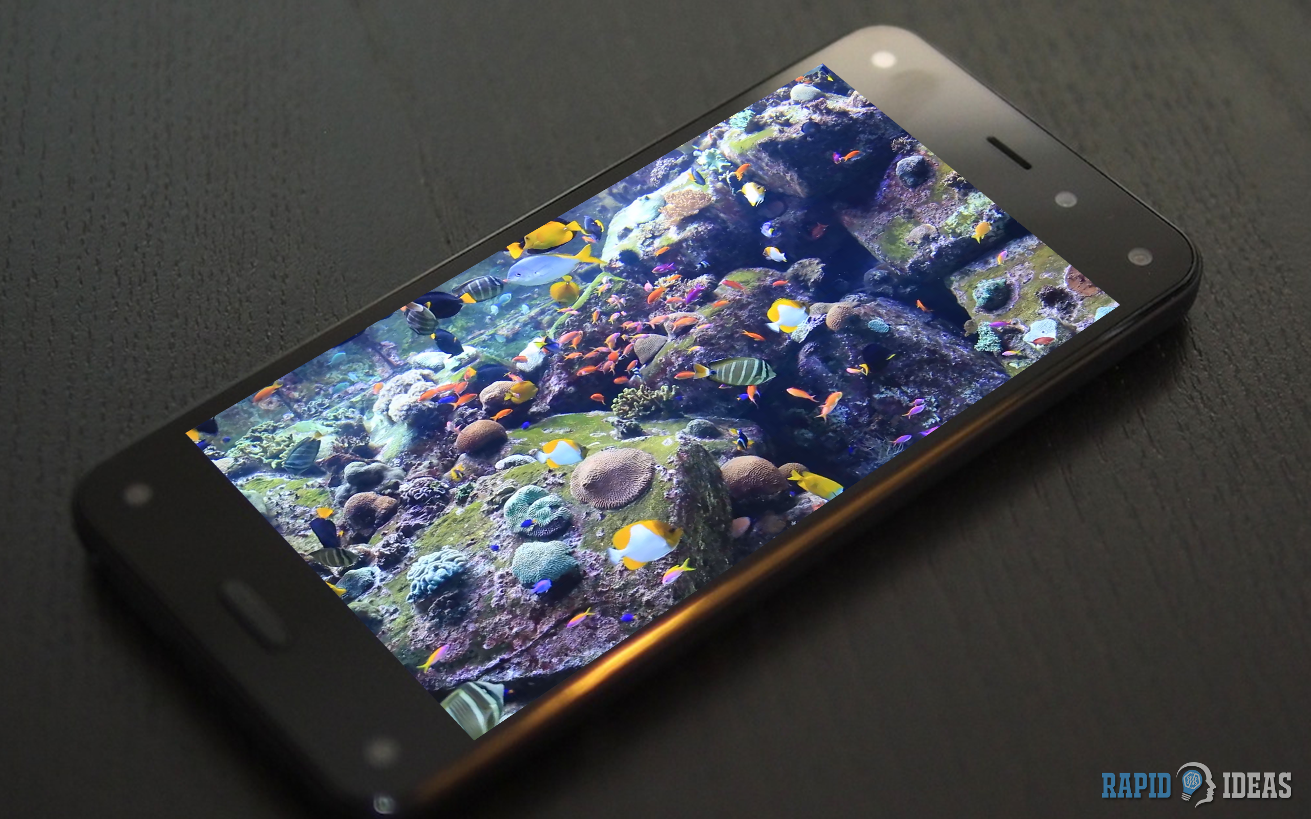 Aquatic Beauty HD -  AQUARIUM  Wallpaper & Themes - Thumbnail 3