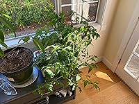 Review Image by KJW KJW