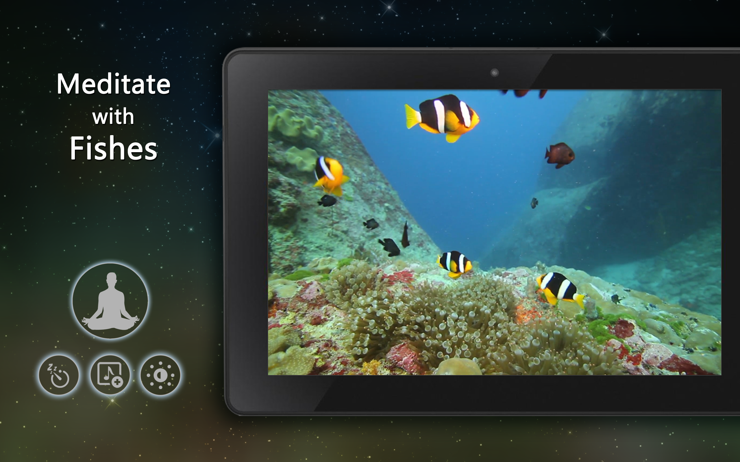 Calm Aquarium - Meditate with Fishes - Thumbnail 3