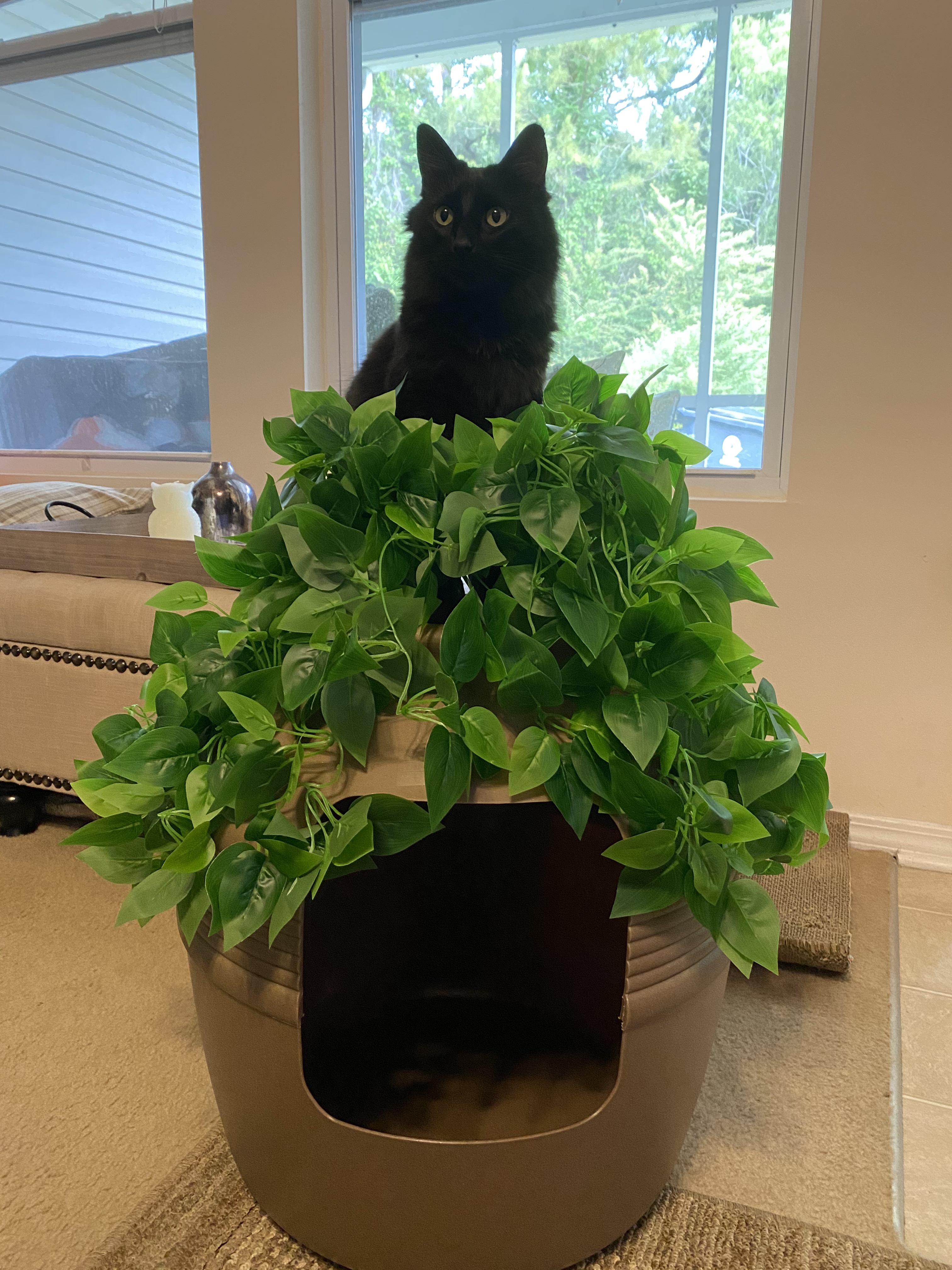 Customize Your Planter Base Kit