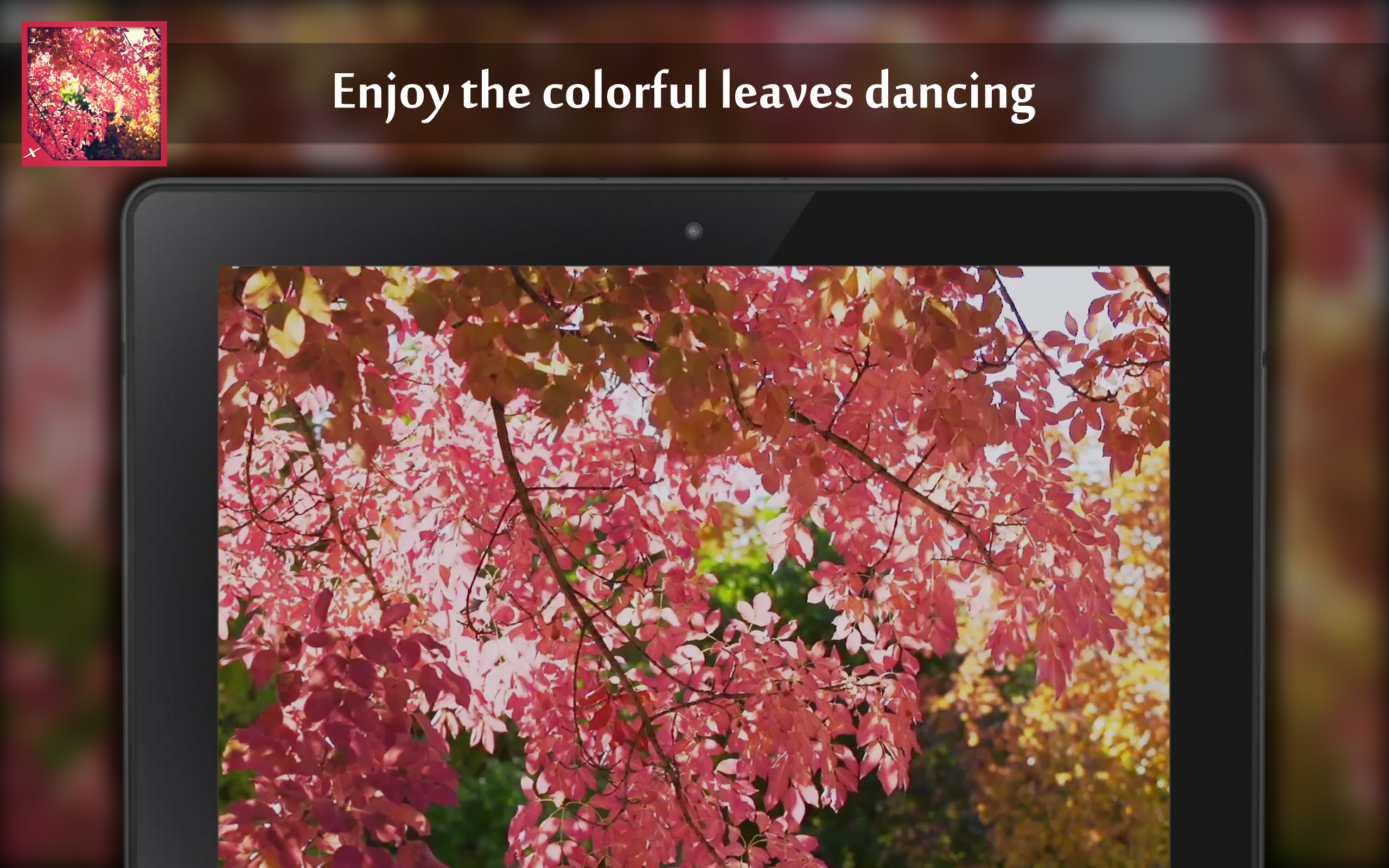 Autumn leaves rattle - Thumbnail 2