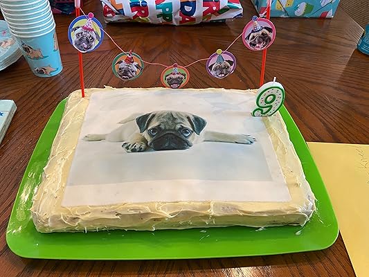 easy pug cake