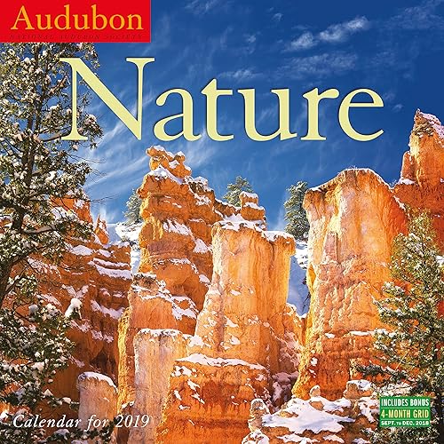 Download Audubon Nature 2019 Calendar PDF