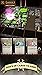 Card Dungeon