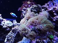 Review Image by Tiffany Hoffman Tiffany Hoffman