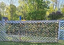 Review Image by Tanya B Tanya B