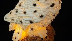 Amazon.com: Owl Solar Powered Outdoor LED Garden Light: Home Improvement