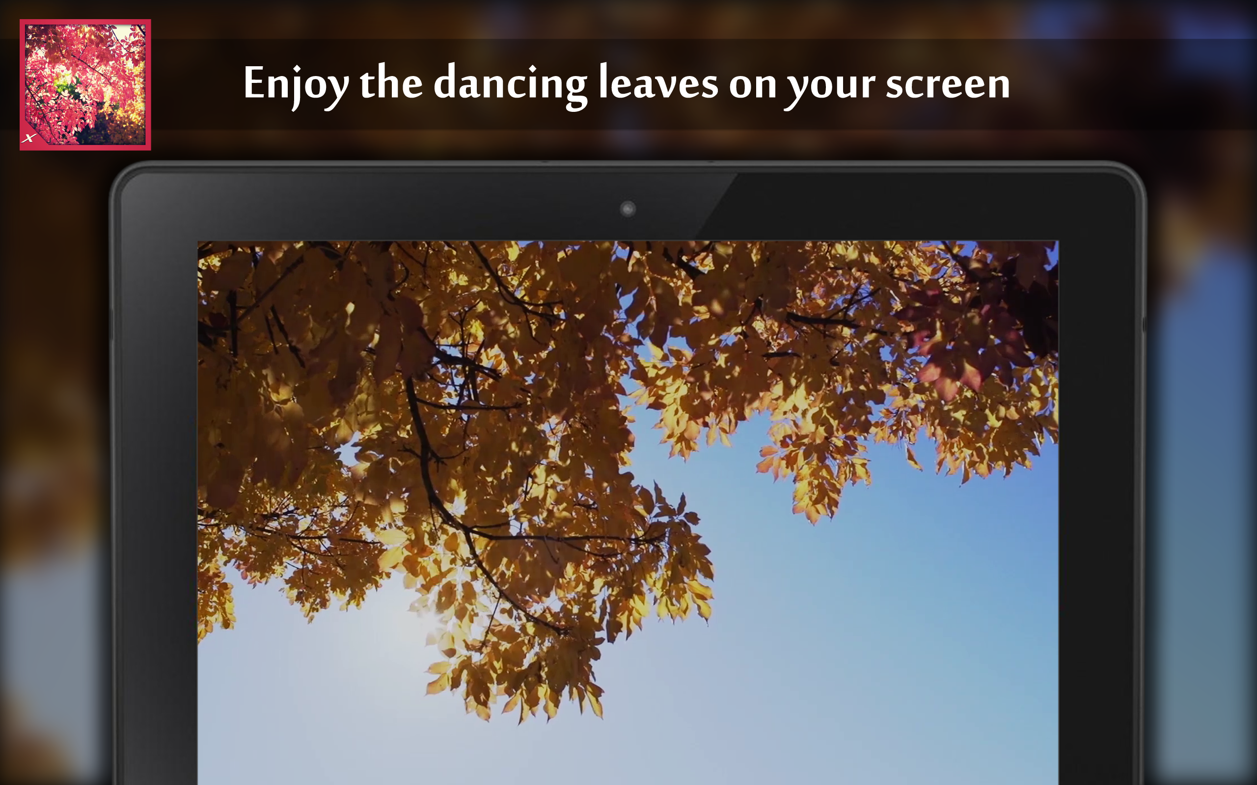 Autumn leaves rattle - Thumbnail 4