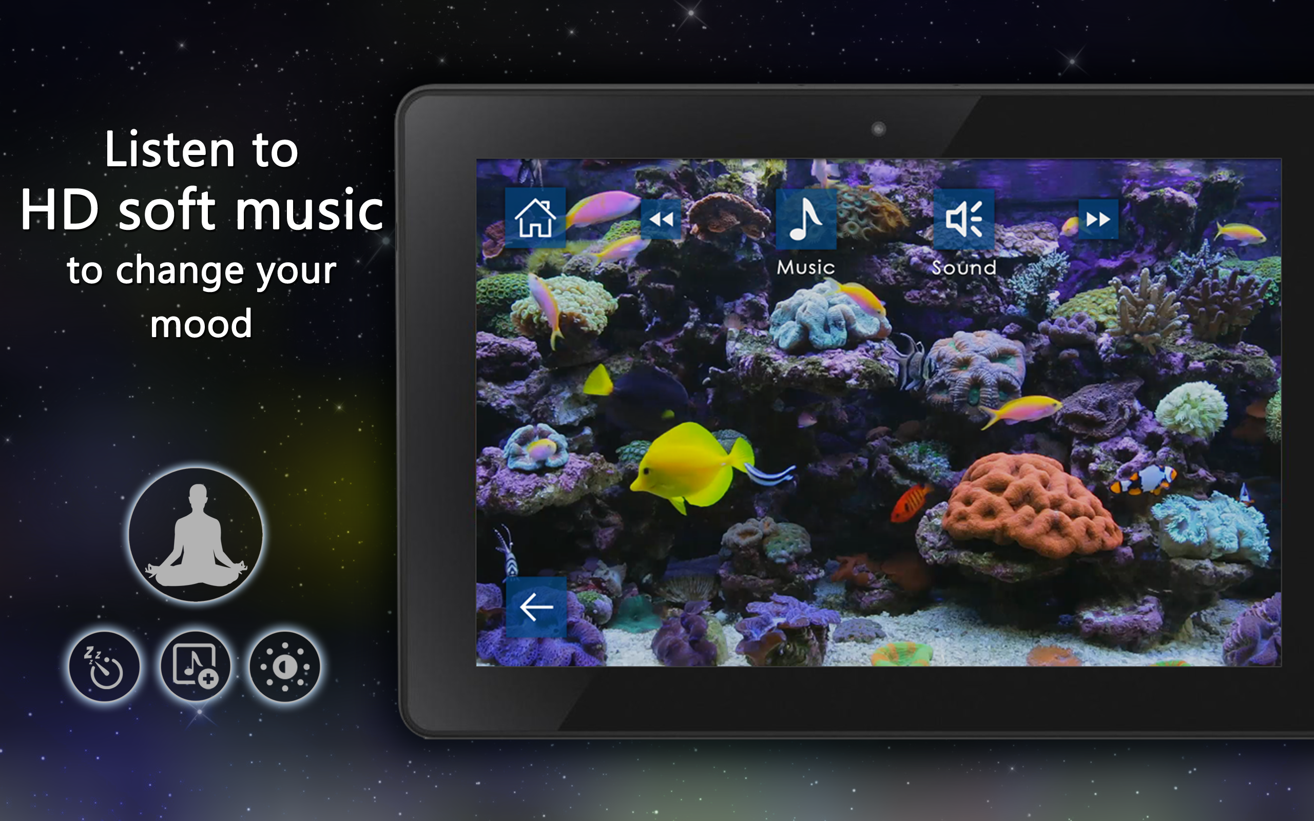 Coral Fish Aquarium TV