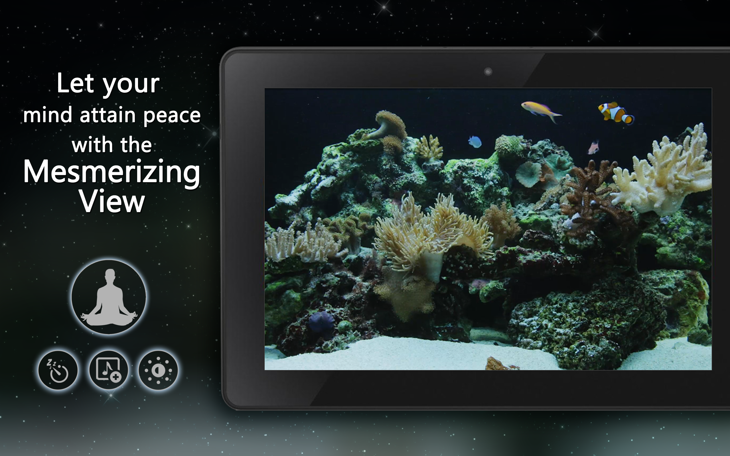 Coral Fish Aquarium TV