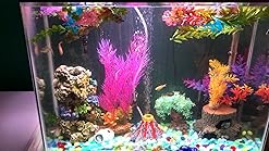 Amazon Com Aquarium Decorations Air Stone Bubbler Volcano Shape Ornament Kit Set With Red Led Spotlight For Betta Aquarium Fish Tank Pet Supplies