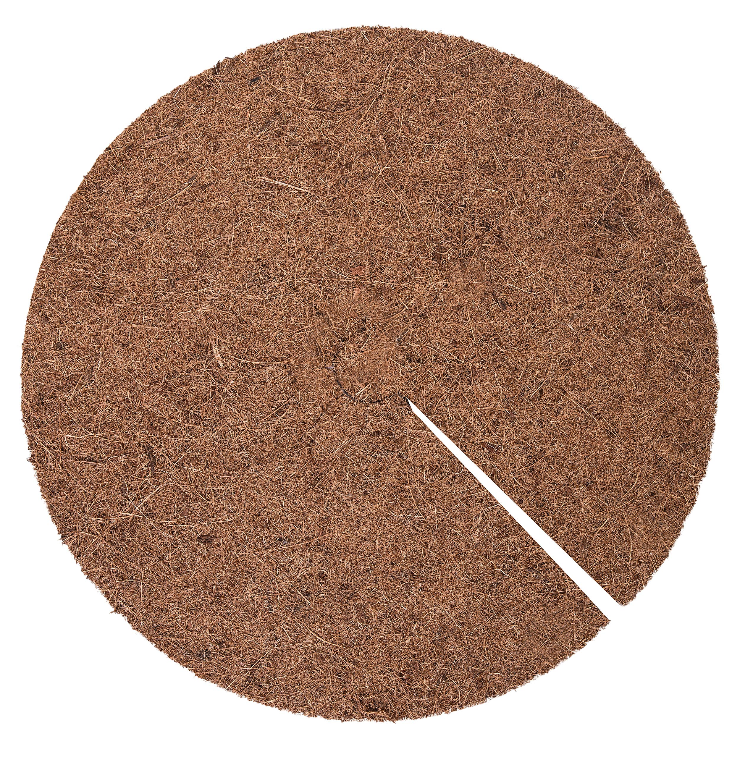 Connex Indoor Greenhouse with Recesses & Gutter/Propagation House for Seeds & Seedlings/Room Greenhouse