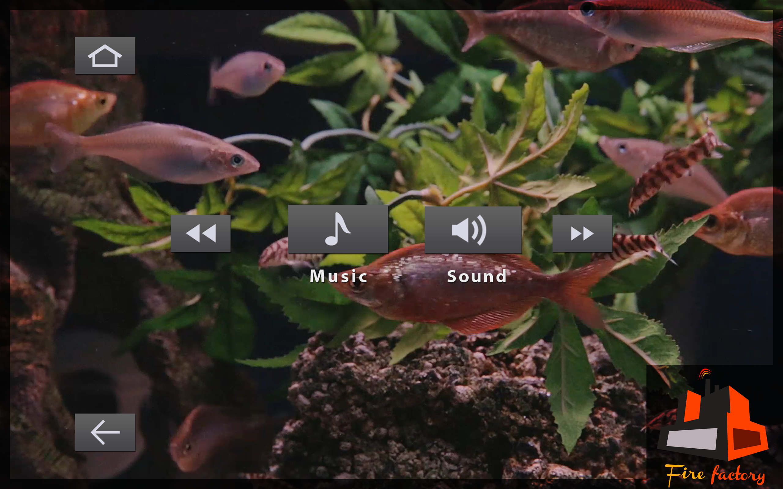Copper Fish Tank
