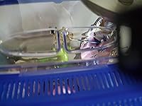 Review Image by Cody Cody