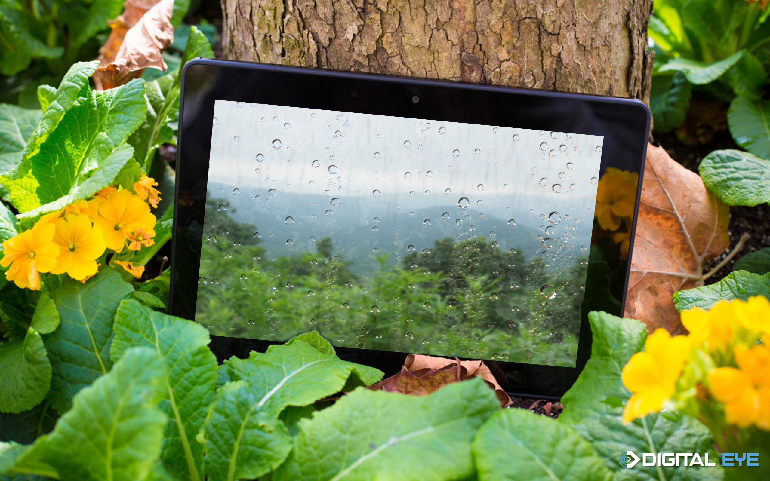 Green Rainfall HD - Sit and Enjoy Rainy Forest on your Fire TV & Kindle Devices
