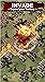 Invasion: New Frontier